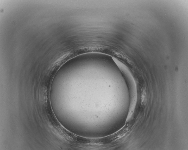 X0000061760356200512091707