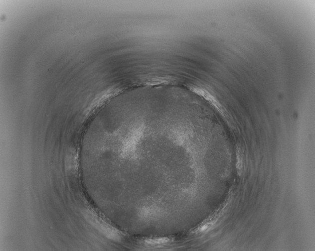 X0000061760357200512091707