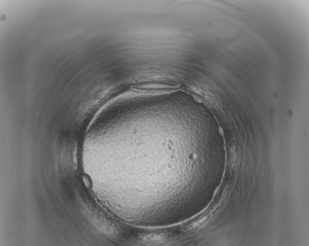 X0000061760358200512091707