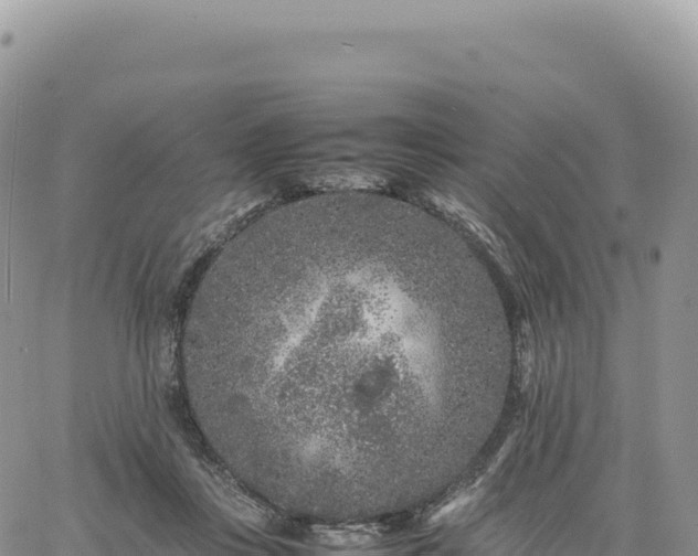 X0000061760359200512091707