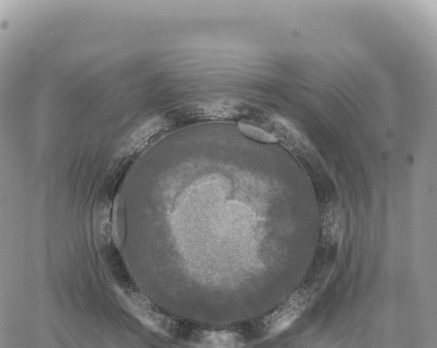 X0000061760360200512091707