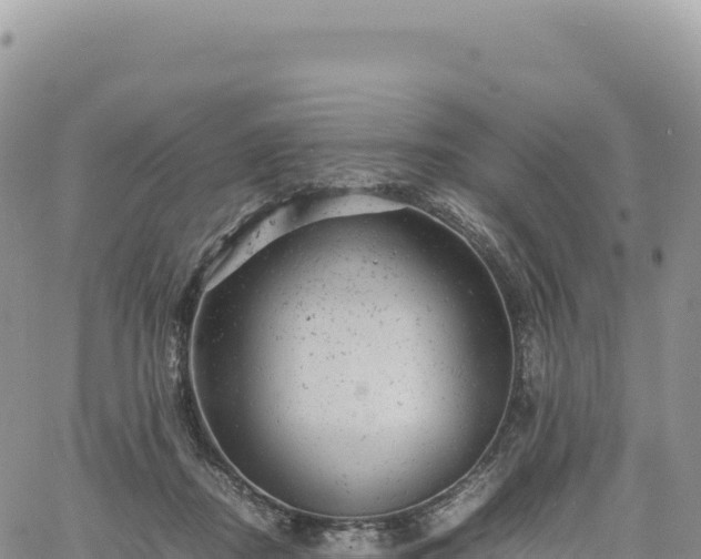 X0000061760362200512091707