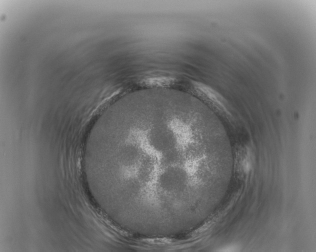 X0000061760363200512091707