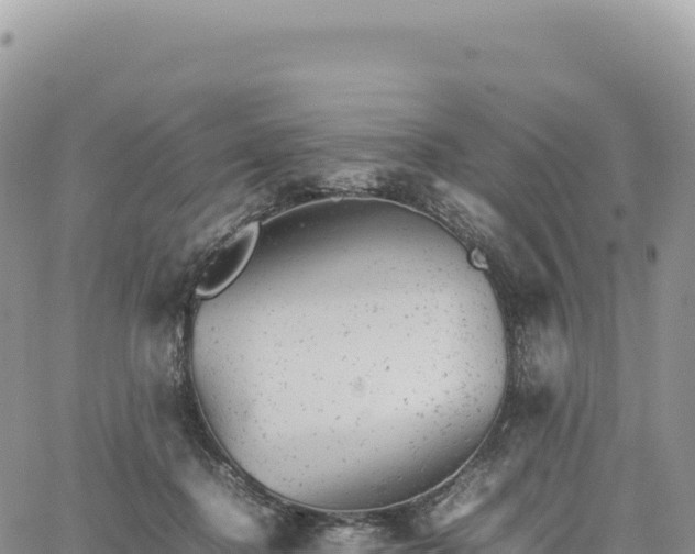 X0000061760364200512091707