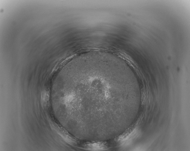 X0000061760365200512091707