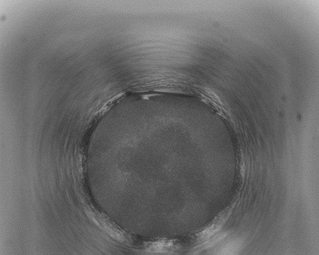 X0000061760366200512091707