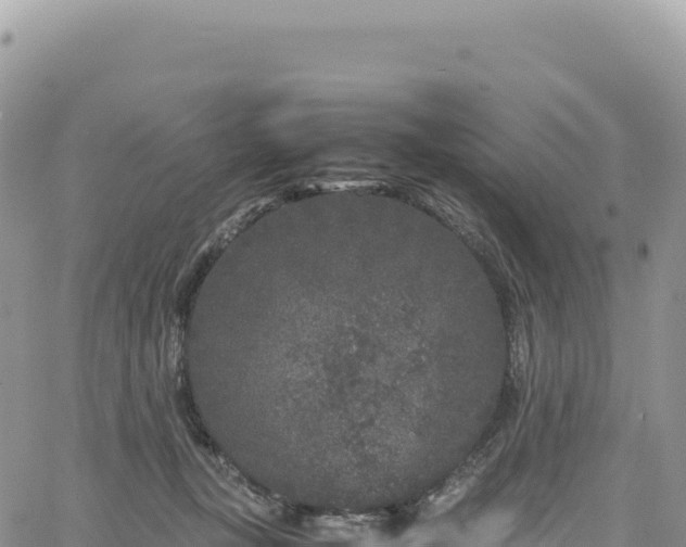 X0000061760367200512091707