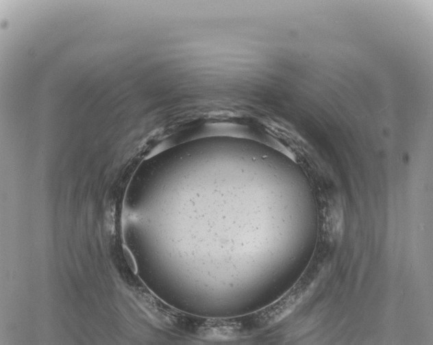 X0000061760368200512091707