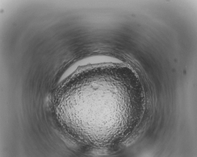 X0000061760369200512091707