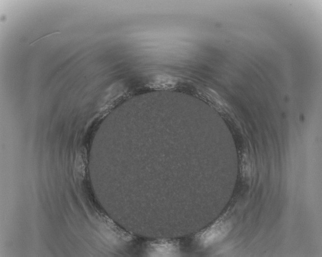 X0000061760370200512091707