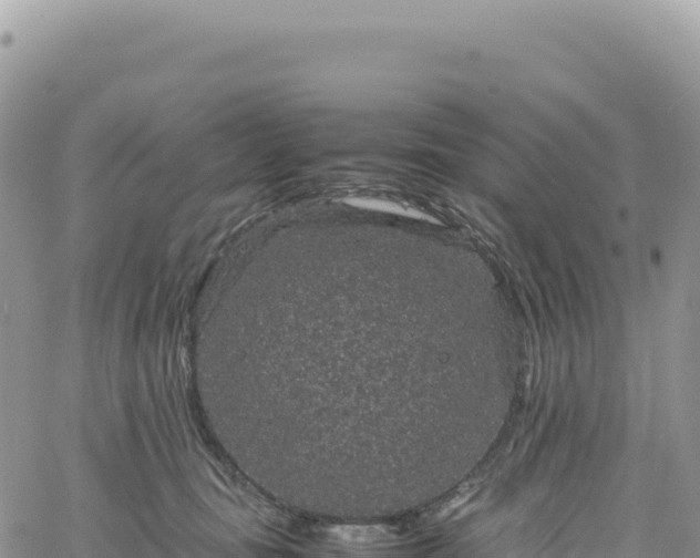 X0000061760371200512091707