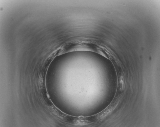 X0000061760372200512091707