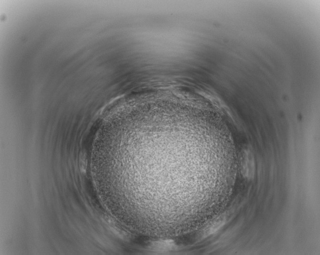 X0000061760374200512091707