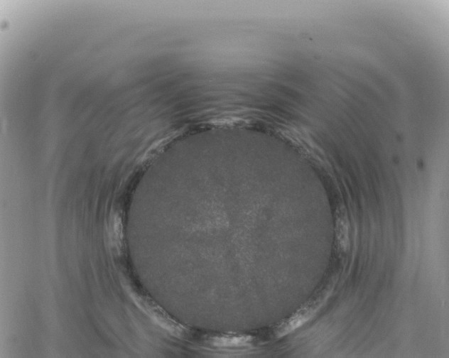 X0000061760375200512091707