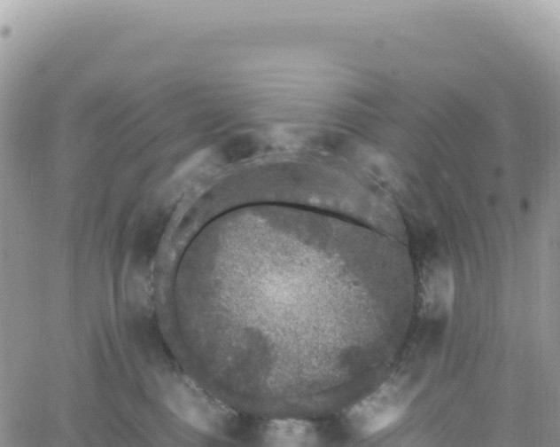 X0000061760376200512091707