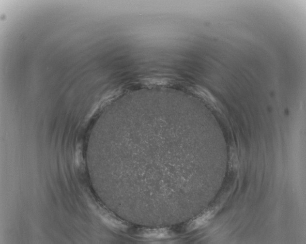 X0000061760377200512091707