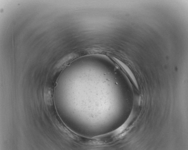 X0000061760378200512091707