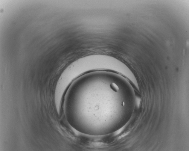 X0000061760380200512091707