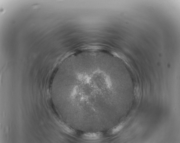 X0000061760381200512091707