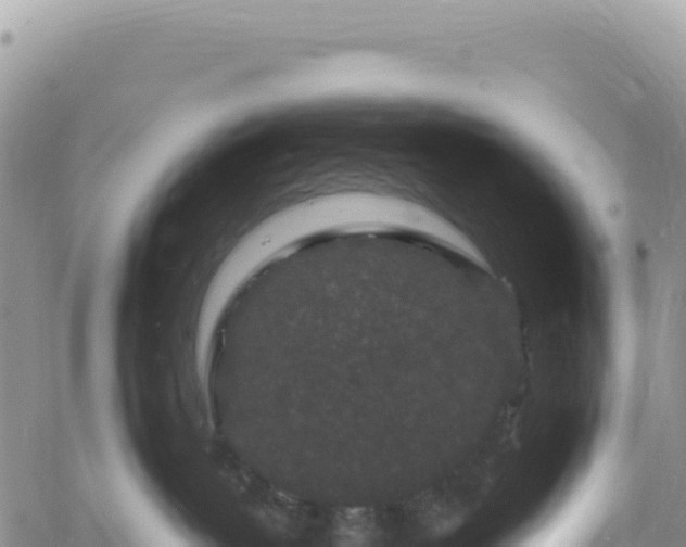 X0000061760382200512091707