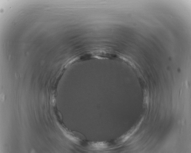 X0000061760383200512091707