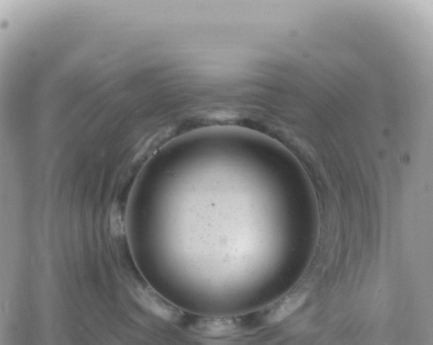 X0000061760384200512091707