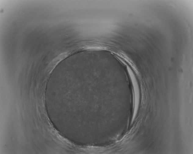 X0000061760385200512091707