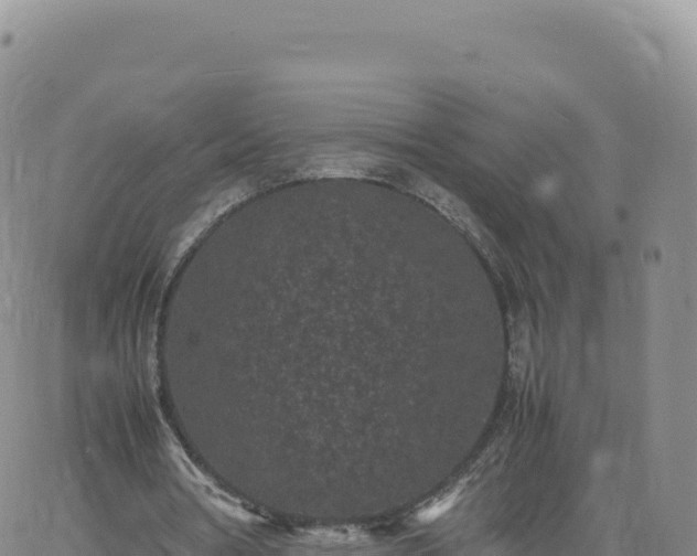 X0000061760386200512091707