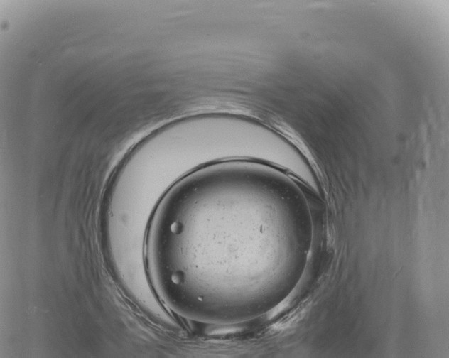 X0000061760387200512091706