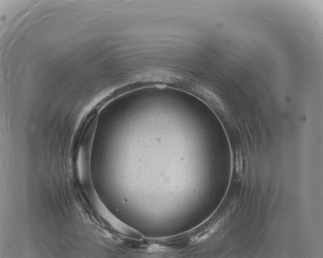 X0000061760388200512091706