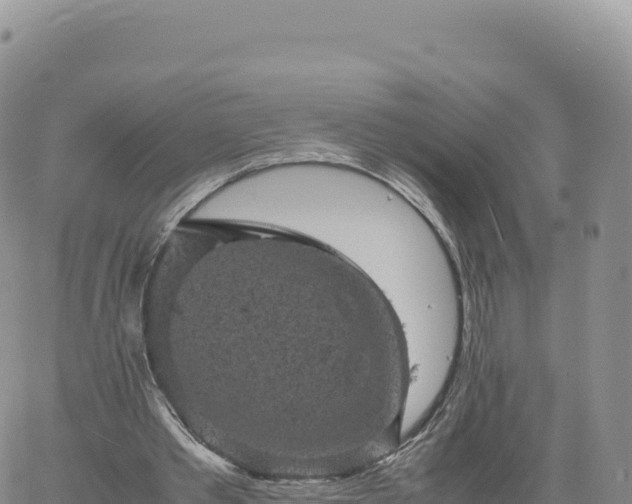 X0000061760389200512091706