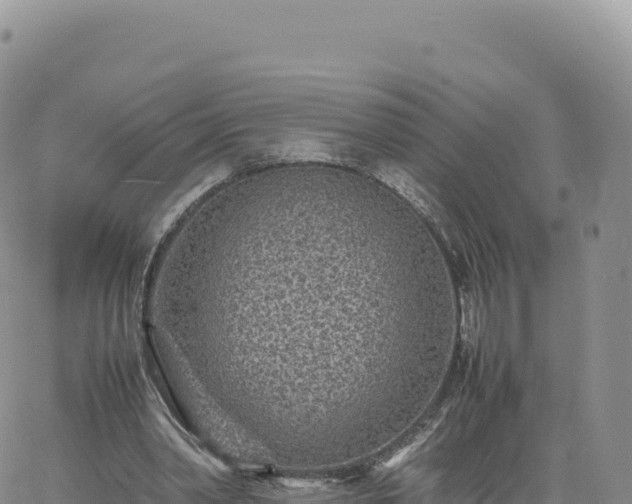 X0000061760390200512091706