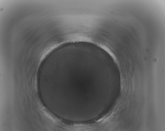 X0000061760391200512091706