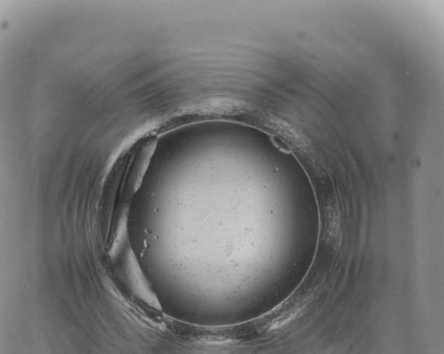 X0000061760392200512091706