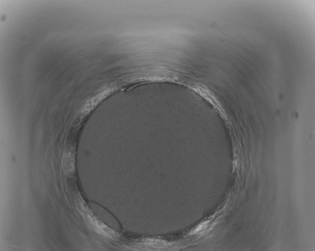 X0000061760393200512091706