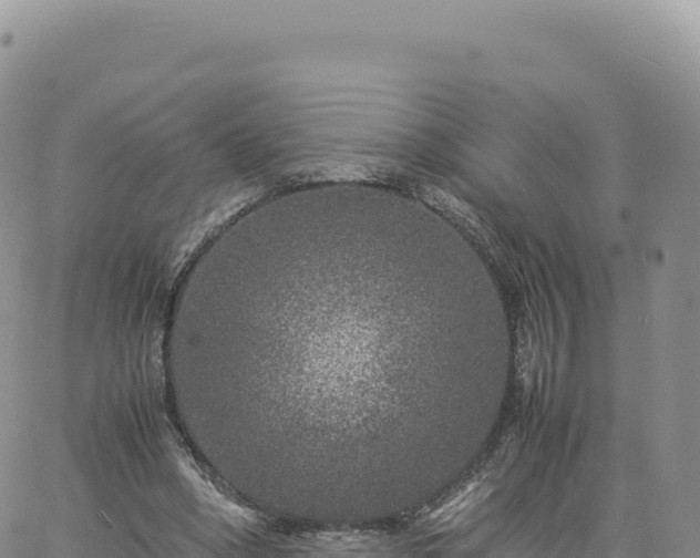 X0000061760394200512091706