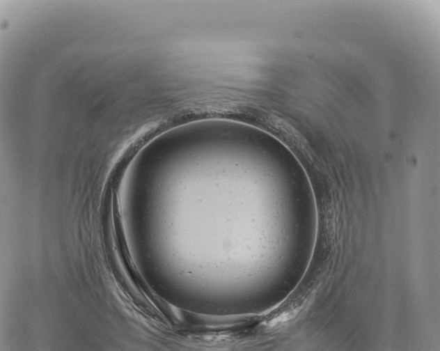 X0000061760395200512091706