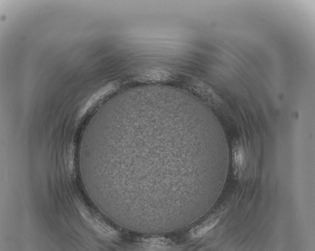 X0000061760396200512091706