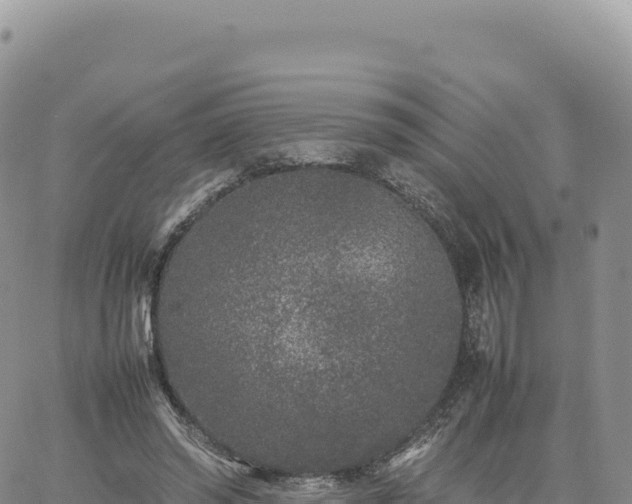 X0000061760398200512091706