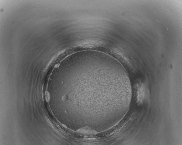 X0000061760400200512091706