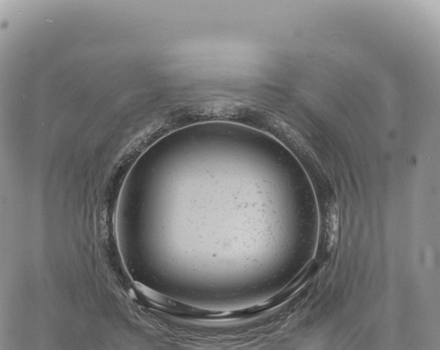 X0000061760403200512091706