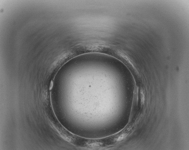 X0000061760407200512091706