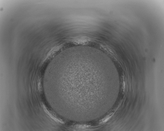 X0000061760408200512091706