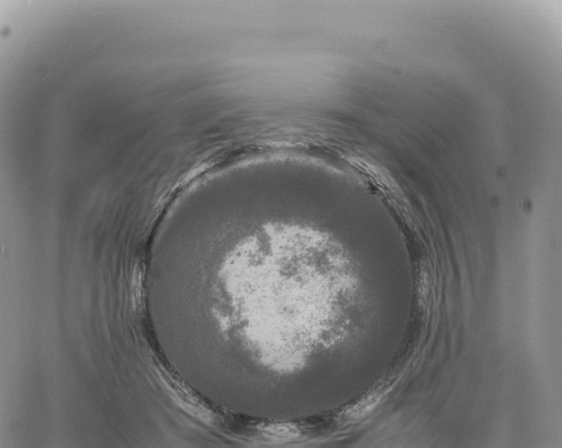 X0000061760409200512091706