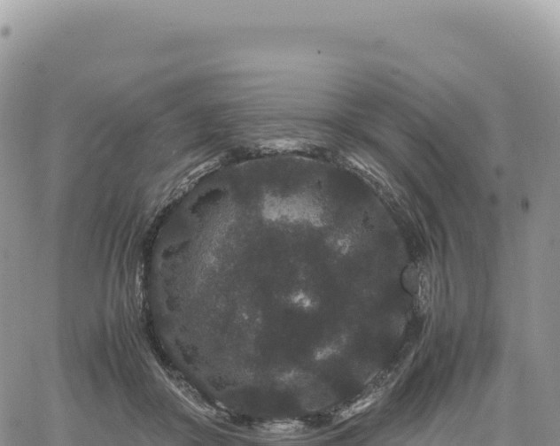 X0000061760410200512091706