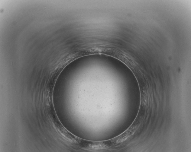 X0000061760414200512091706