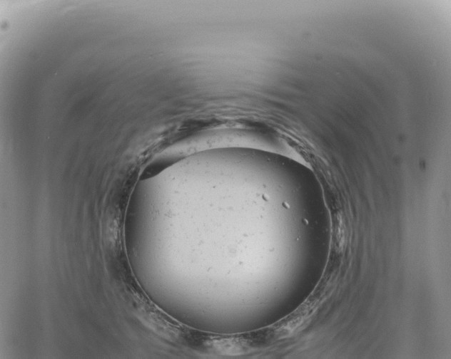 X0000061760417200512091706