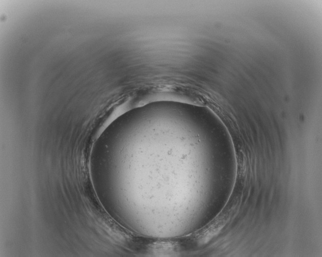 X0000061760418200512091706