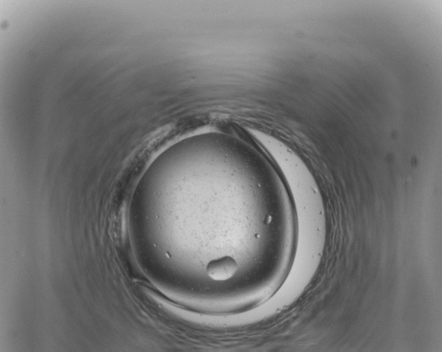 X0000061760419200512091706