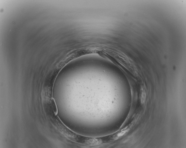 X0000061760421200512091706